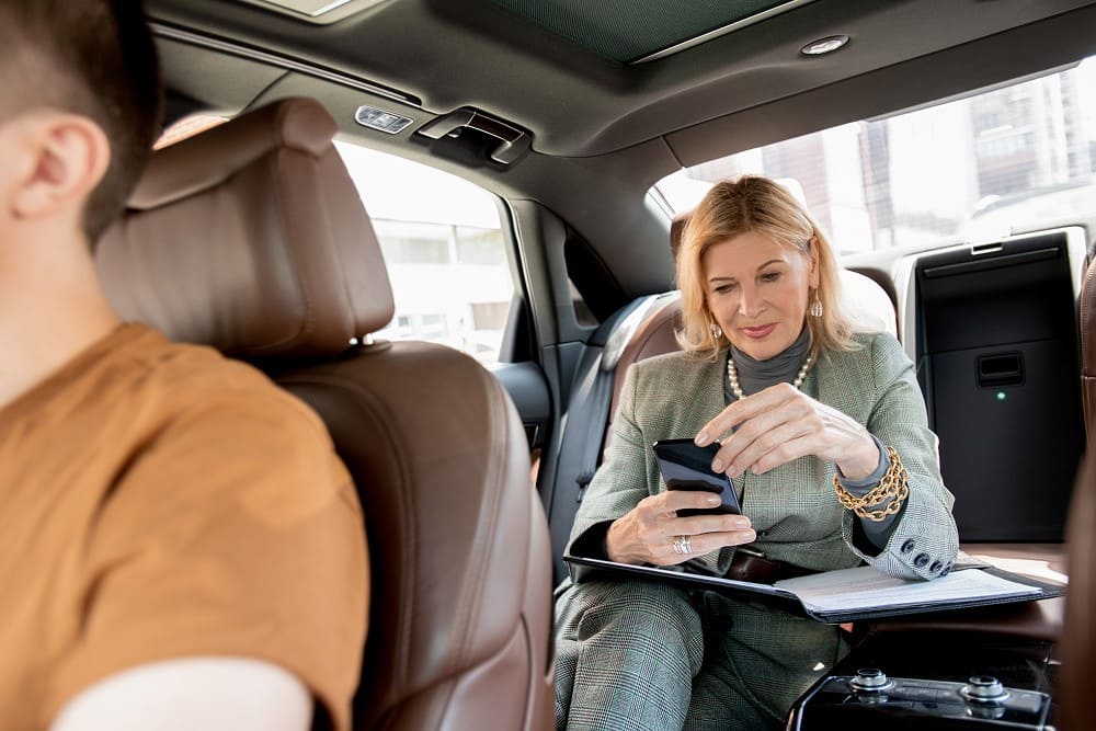 silver chauffeur image 14