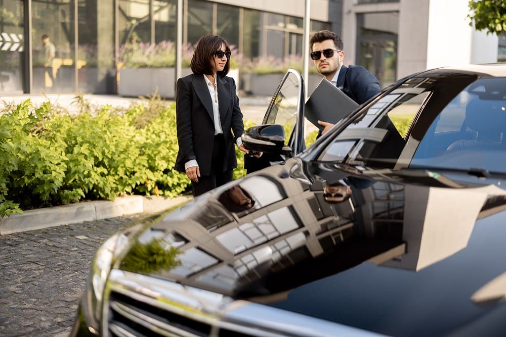 silver chauffeur image 18