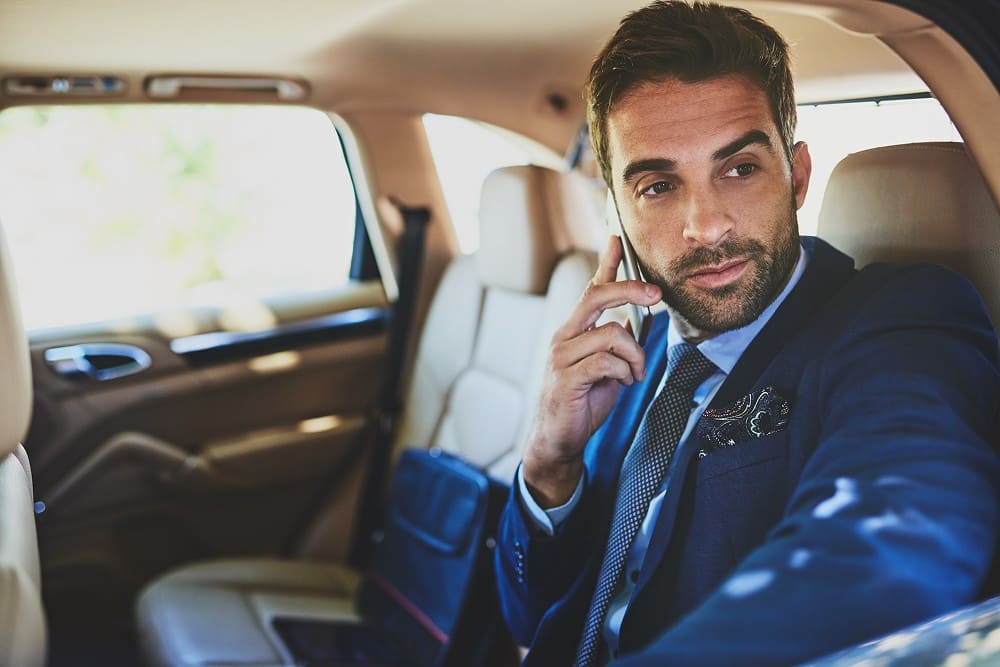 silver chauffeur image 20