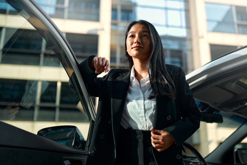 silver chauffeur image 21