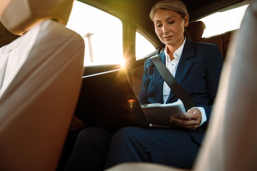 silver chauffeur image 37