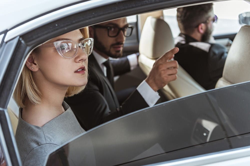 silver chauffeur image 41