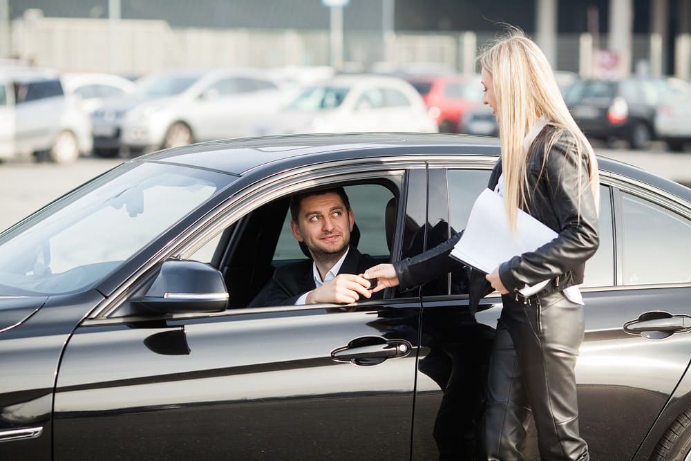 silver chauffeur image 53