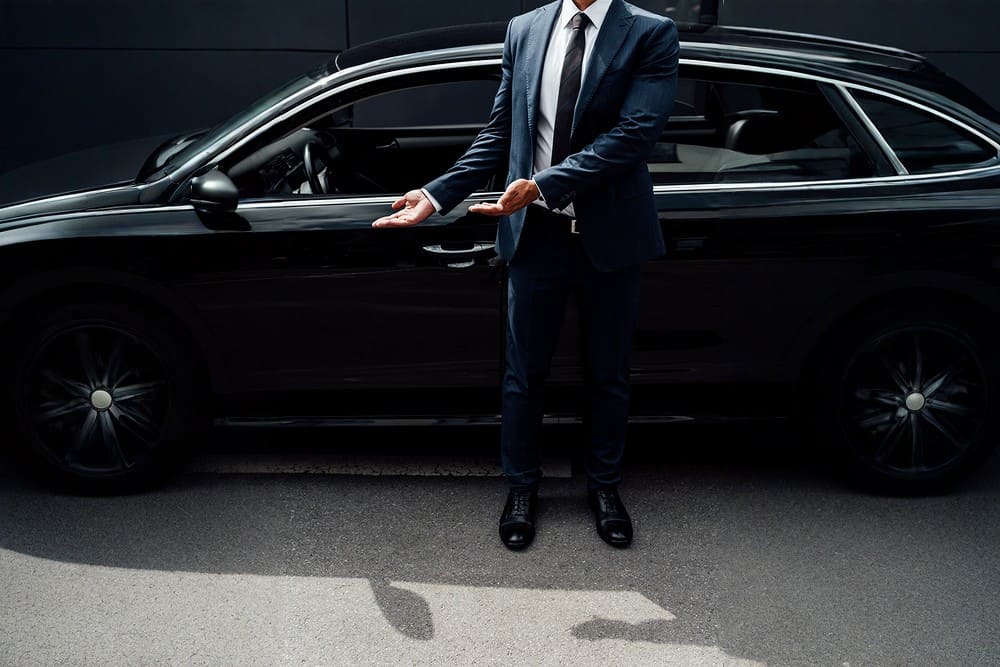 silver chauffeur image 7